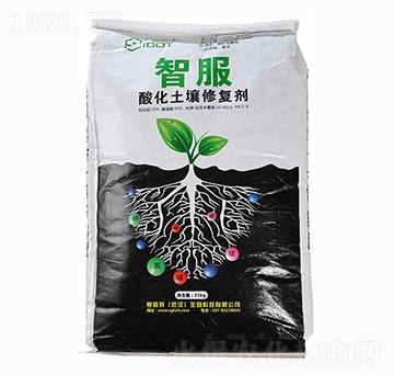 �ữ�����ޏ�(f��)��-�Ƿ�-