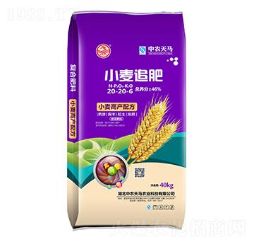 С��׷��20-20-6-���r���R