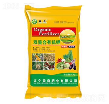 �p�����ЙC�-��ɭ