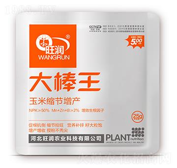 玉米縮節(jié)增產(chǎn)-大棒王-旺潤(rùn)農(nóng)業(yè)