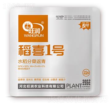 水稻分蘗返青-稻喜1號(hào)-旺潤(rùn)農(nóng)業(yè)