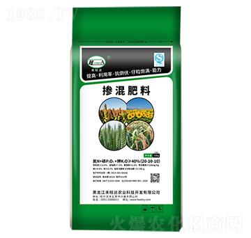 �������20-10-10-�g����-�����_(d��)