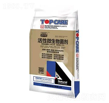 ����΢�������-������