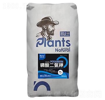 ��������-��Ƚ���Q