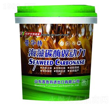 ����̼ø�p��(d��ng)��-������