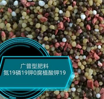 �V���ͷ���19-19-0-���r�r�I(y��)