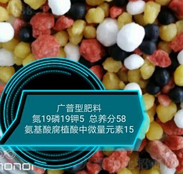�����ḯֲ����΢��Ԫ��19-19-5-���r�r�I(y��)