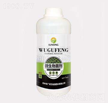 ΢�������-�V�ɰ�����