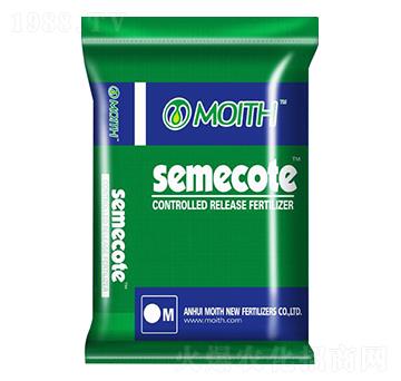 �ָ���ጷ�-������