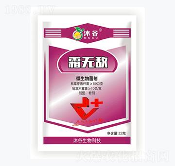 ΢�������-�������