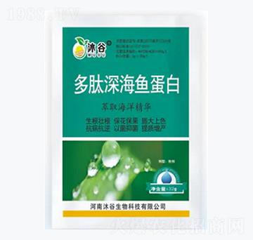 ������~����-�������