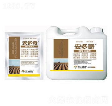 ������-����ֲ��