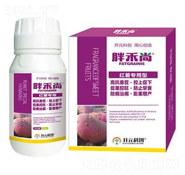 �t�팣����-�ֺ���-����ֲ��