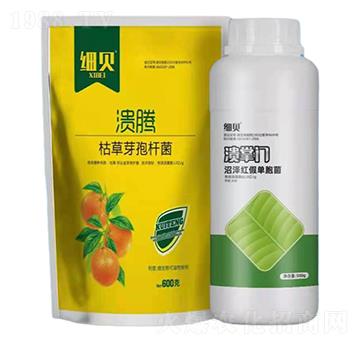 枯草芽孢桿菌+沼澤紅假單胞菌-潰騰+潰掌門細(xì)貝-豆本豆