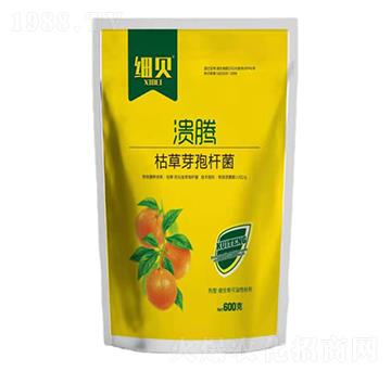 枯草·芽孢桿菌-潰疼-細貝-豆本豆