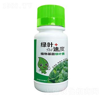 植物基因綠葉素-綠葉加速度-豆本豆