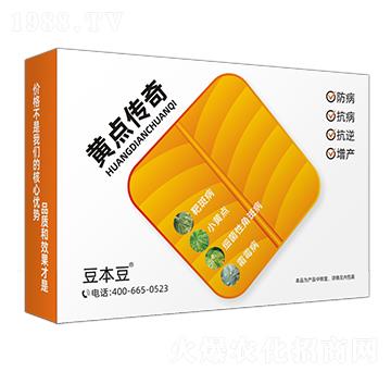 黃點(diǎn)傳奇-豆本豆