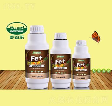 �����پG�F-��Ș�