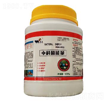 1kg�пƾ�����-���r(n��ng)