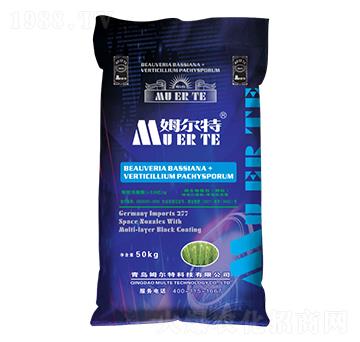 ��ʮ��С���������طN��-ķ����-���ݳ���