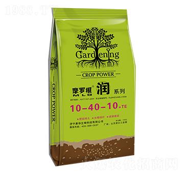 大量元素水溶肥料10-40-10+TE-摩羅根潤-康華生物