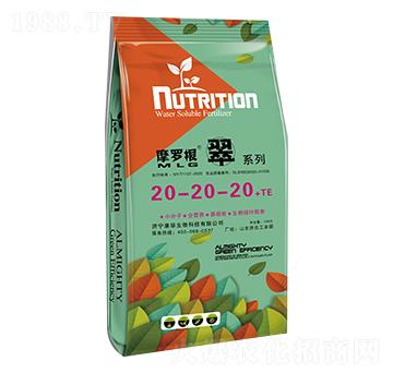 大量元素水溶肥料20-20-20+TE-摩羅根翠-康華生物