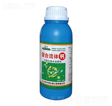 �������w�}-�и�����