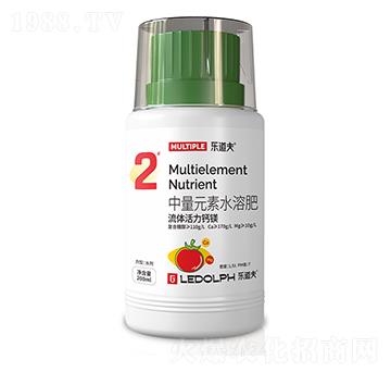 ���w�����V-������