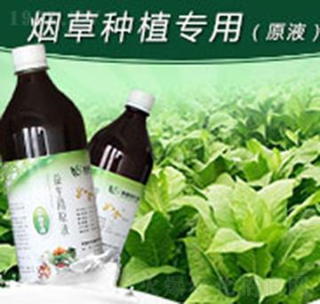如金煙草種植專(zhuān)用益生菌原液-綠洲生物