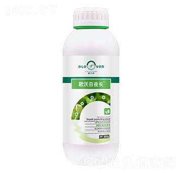 �W����ҹ�L(zh��ng)-�W�m��