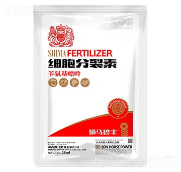 ��(x��)��������-�{�R�ʘI(y��)