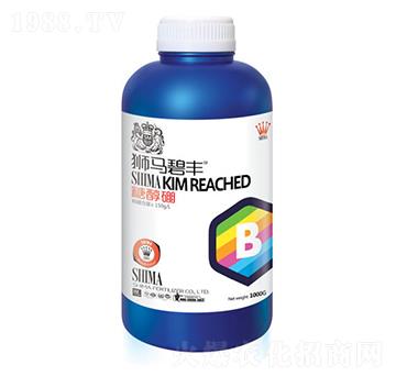 �Ǵ���-�{�R�ʘI(y��)