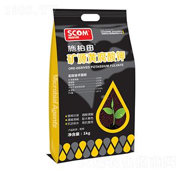 �VԴ�S�����-ʩ����-˹��ķ