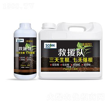 ��Ԯꠣ������ͣ�-˹��ķ