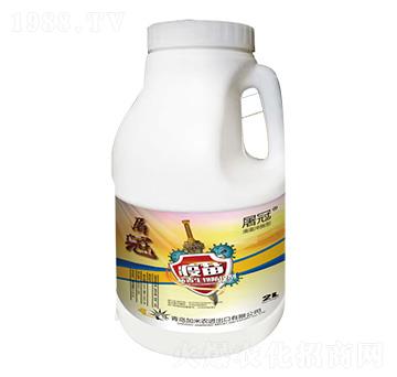 ����������؄�-����-�����r