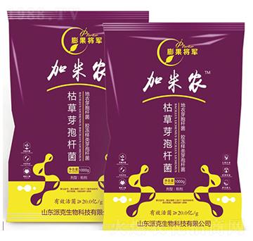 �ݲ�ѿ�ߗU��-�����܊-�����r(n��ng)