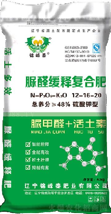 ��ȩ��ጏͺϷ�12-16-20-�\��̩