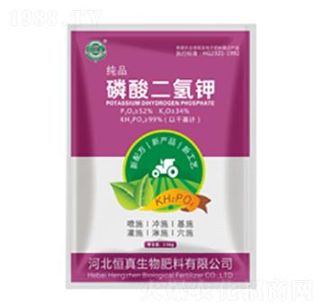 ��ɫ���b��������-��������