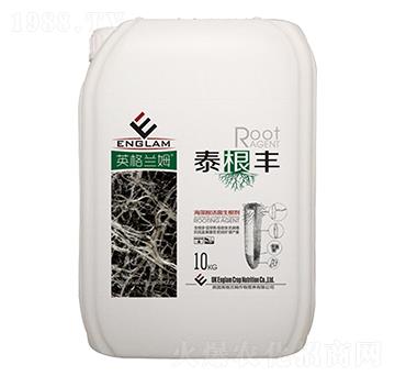 ��������������-̩���S-��̩���S