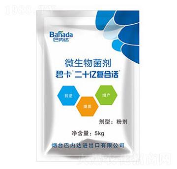 ΢�������-�̓�(n��i)�_(d��)