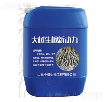 �����������-�и�����