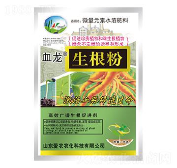 ������-Ѫ��-�и�����