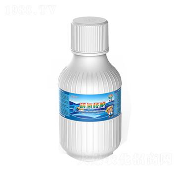 ̼?x��)�˷?�{(l��n)���T-̼�R�r(n��ng)�I(y��)