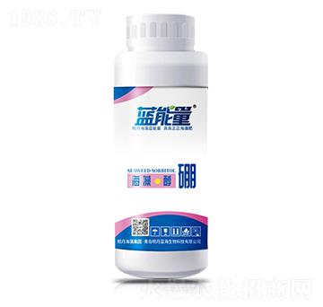 500g���塤����-�{����