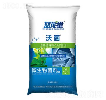 ΢����������w����-�־�-�{(l��n)����