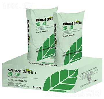 �M��ˮ���ԏ�(f��)�Ϸ���19-19-19+1MgO+TE-���G-����r(n��ng)�I(y��)