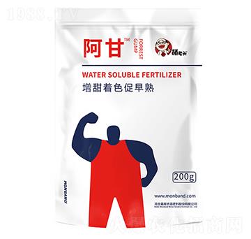 ����-�����^-�Ȏ�