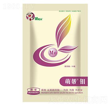 �Ȏ��f-�Ȏ�