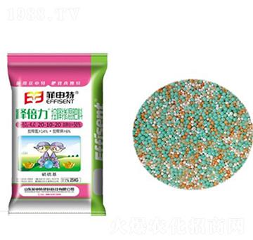 ��ጓ������20-10-20-ጱ���-������