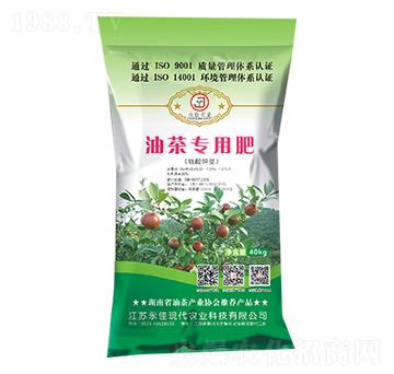 �Ͳ茣(zhu��n)�÷�-����